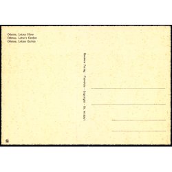 Odense - Lotzes Have - Stender 40 508/7- Ubrugt