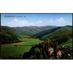 Feldpost - Freiburg   23 -9 -14 - Til  Kopenhagen - Vesterbrogade - Billedside : Gnthersthal