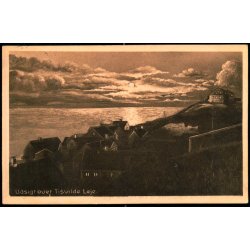 Udsigt over Tisvilde Leje - Albert Jensens Bogh. 8006 - Brugt