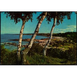 Bornholm - Sandkaas - Colbergs Bogh. 8371 - Brugt