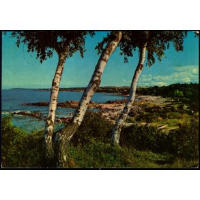 Bornholm - Sandkaas - Colbergs Bogh. 8371 - Brugt