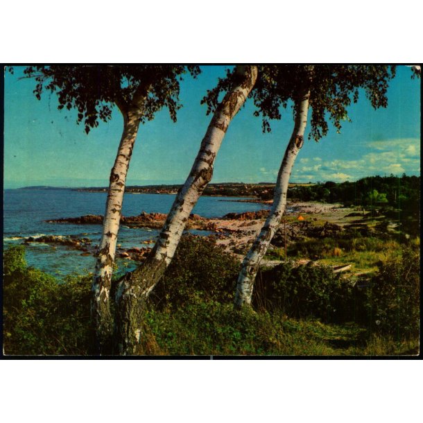 Bornholm - Sandkaas - Colbergs Bogh. 8371 - Brugt