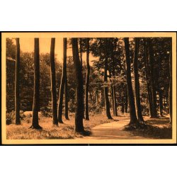 Nyk�bing F. - Parti fra Kohaven -  V. Kristoffersens Bogh. 38933 - Ubrugt