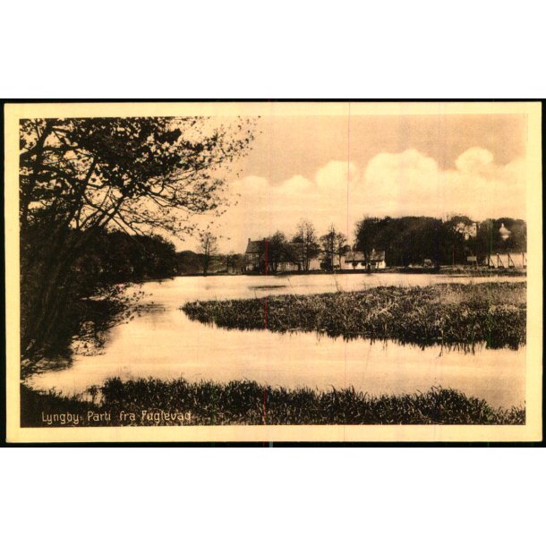 Lyngby - Parti fra Fuglevad - Henriksen Bogh. ? - Ubrugt - Har v�ret kl�bet op !