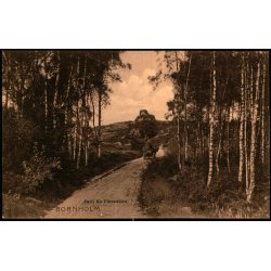 Bornholm - Parti fra Finnedalen - Frits Srensens Bogh. 567