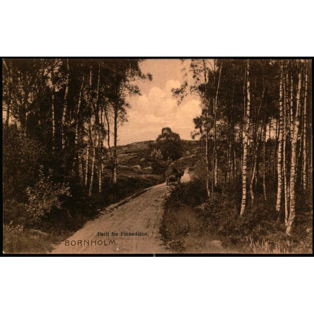 Bornholm - Parti fra Finnedalen - Frits Srensens Bogh. 567