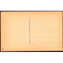 Dalum Slot - Herluf Lykke 44 916/401 - Ubrugt