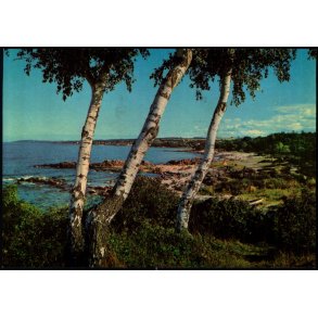 Bornholm - Sandkaas - Colbergs Bogh. 8371 - Ubrugt