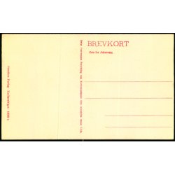 Nyborg - Drost Peter Hessels Gaard - Stender 16866 b - Ubrugt