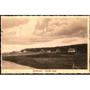 Skovbrynet - Tisvilde hegn - Sophus Nielsen 47185 - Brugt