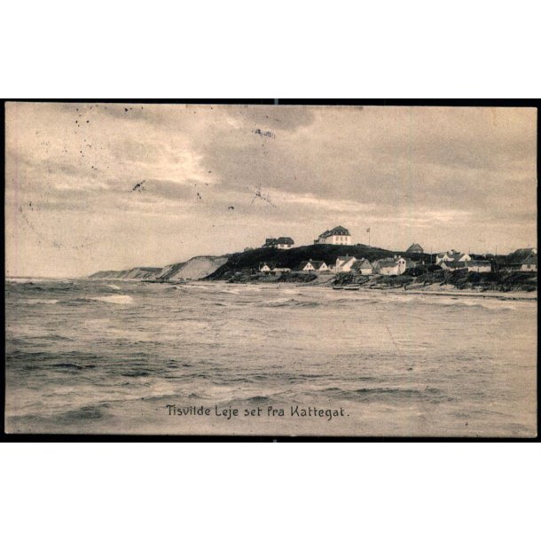 Tisvilde Leje set fra Kattegat - Albert Jensens Bogh. 21534 - Brugt