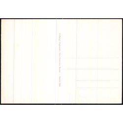 Bornholm - Hammershus Ruiner i det trettende Aarhundrede - Colbergs Bogh. 2565 - Ubrugt