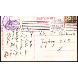 Kbenhavn - En Festaften i Tivoli - Stender 6071