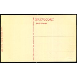 Skagen - Bonatzis Hytte-  Laurits Schjeldes Bogh. 5267 - Ubrugt