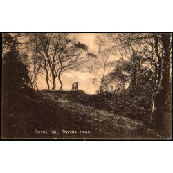 Bangs H�j - Tisvilde Hegn - K. Poulsen Bogh. 28 - Brugt