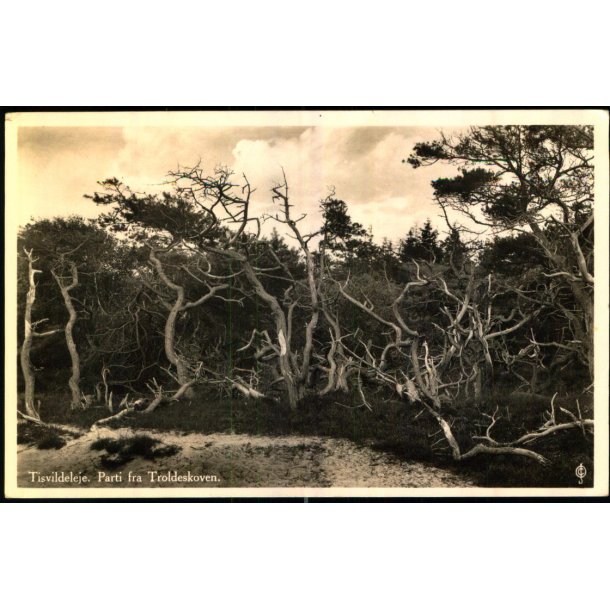 Tiavildeleje - Parti fra Troldeskoven - J. Chr. Olsen u/n - Brugt