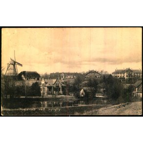 Fuglevad ved Lyngby - Henriksens Bogh. 23401 - Brugt