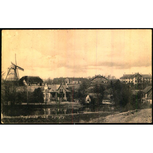 Fuglevad ved Lyngby - Henriksens Bogh. 23401 - Brugt