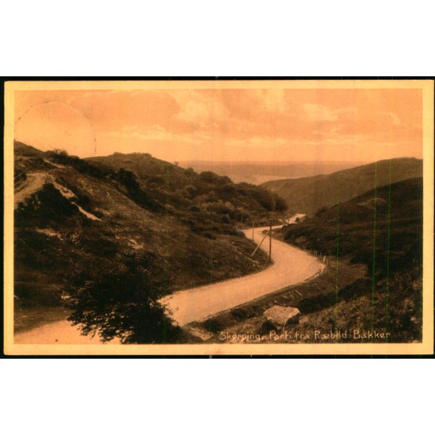 Parti fra Rebild Bakker - Stender 28928 - Brugt