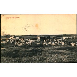 Lejren ved Borris - C.J.C. 130 - Brugt