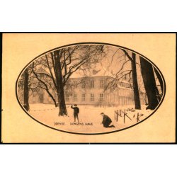 Odense - Kongens Have - Stender O. 50526 - Ubrugt