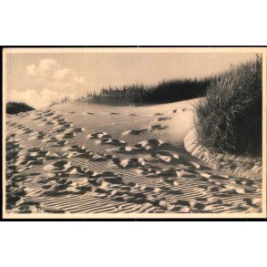 Vej til Vesterhavet - Bollerups Bogh. 3669 - Ubrugt