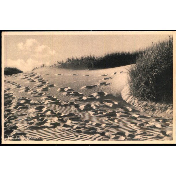 Vej til Vesterhavet - Bollerups Bogh. 3669 - Ubrugt