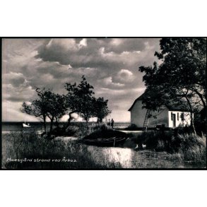 Moesgaard Strand ved Aarhus -  Stender � 718 K - Brugt