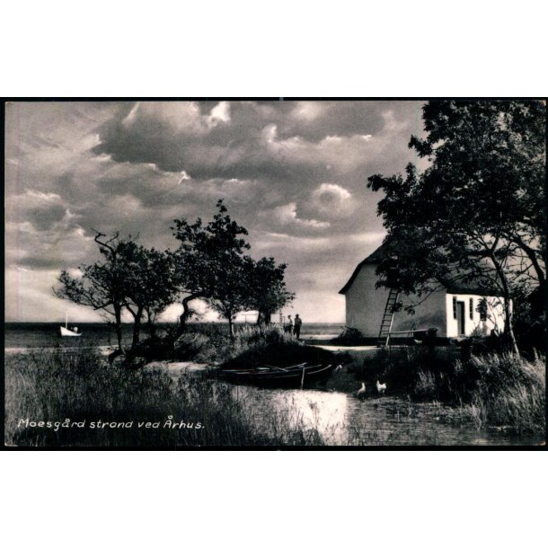 Moesgaard Strand ved Aarhus -  Stender � 718 K - Brugt
