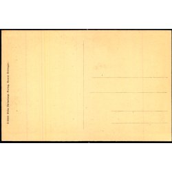 Gadeparti fra det gamle Helsing�r - E. Str�mberg 210996 - Ubrugt