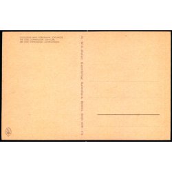 Kbenhavn - Zoologisk Have - Lveunger - K. Witt-Mller 6700 - 474