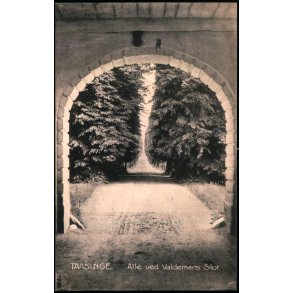 Taasinge - Alle ved Valdemars Slot - Stender 7324 - Brugt