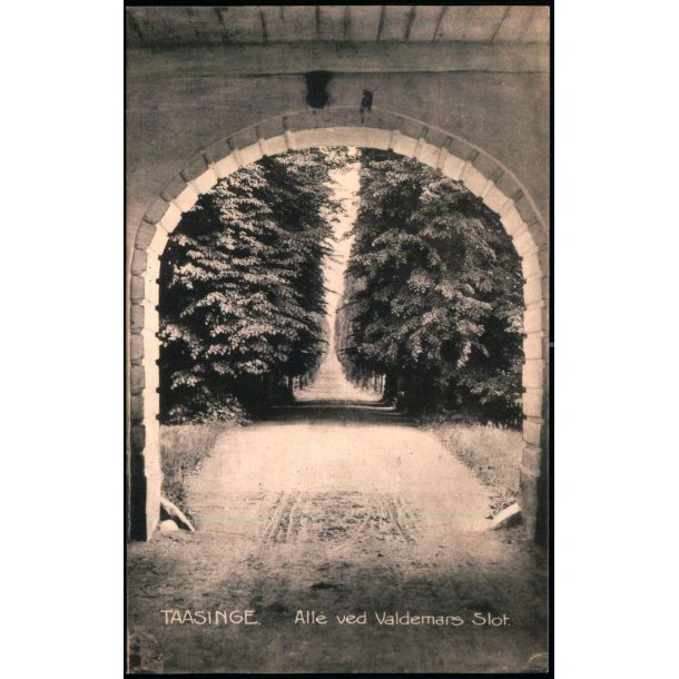 Taasinge - Alle ved Valdemars Slot - Stender 7324 - Brugt