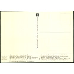 Icelandic Flora - Litbra 2924 - Ubrugt