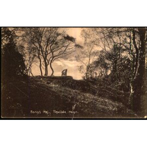 Bangs H�j - Tisvilde Hegn - K. Poulsen Bogh. 28 - Brugt
