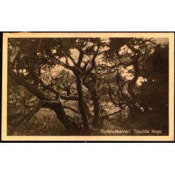 Troldeskoven - Tisvilde Hegn - G. Kristiansen u/n - Brugt