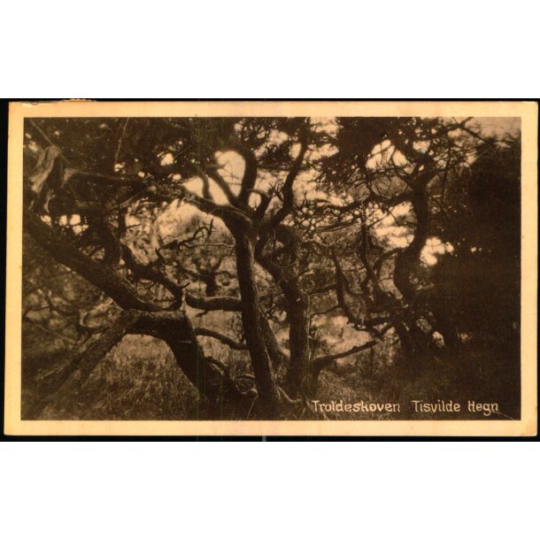 Troldeskoven - Tisvilde Hegn - G. Kristiansen u/n - Brugt