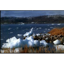 Grnland - Grnlands-Agenten GA 40 - Brugt