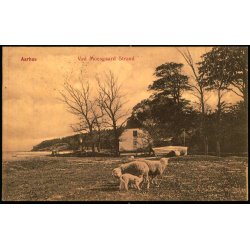 Aarhus - Ved Moesgaard Strand - J.J.N. 2510 - Brugt