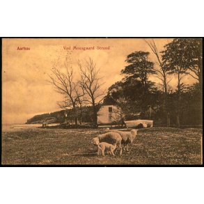 Aarhus - Ved Moesgaard Strand - J.J.N. 2510 - Brugt