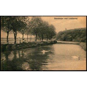 Fredericia - Strandvejen ved Lodstaarnet - Marie Petersen u/n - Ubrugt