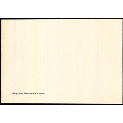 Bornholm - Hammershus Ruiner set fra syd - Colbergs Bogh. 8231 - Ubrugt