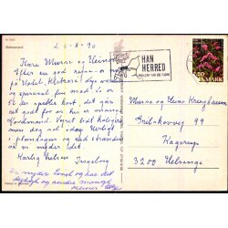 Slettestrand - Wadmanns 8555 - Brugt