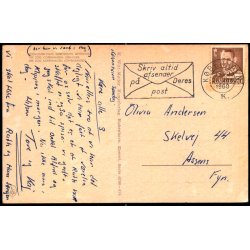 Kbenhavn - Zoologisk Have - Lveunger - K. Witt-Mller 6700 - 474