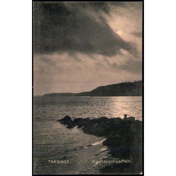 Taasinge - Maaneskinsaften - Chr. G. Kielbergs Bogh. 11407 - Brugt