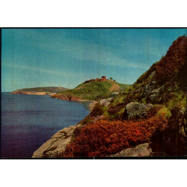 Bornholm - Hammershus Ruiner set fra syd - Colbergs Bogh. 8231 - Ubrugt