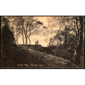 Bangs H�j - Tisvilde Hegn - K. Poulsen Bogh. 28 - Brugt