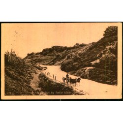 Parti fra Rebild Bakker - Stender 40558 - Brugt