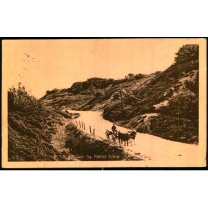 Parti fra Rebild Bakker - Stender 40558 - Brugt