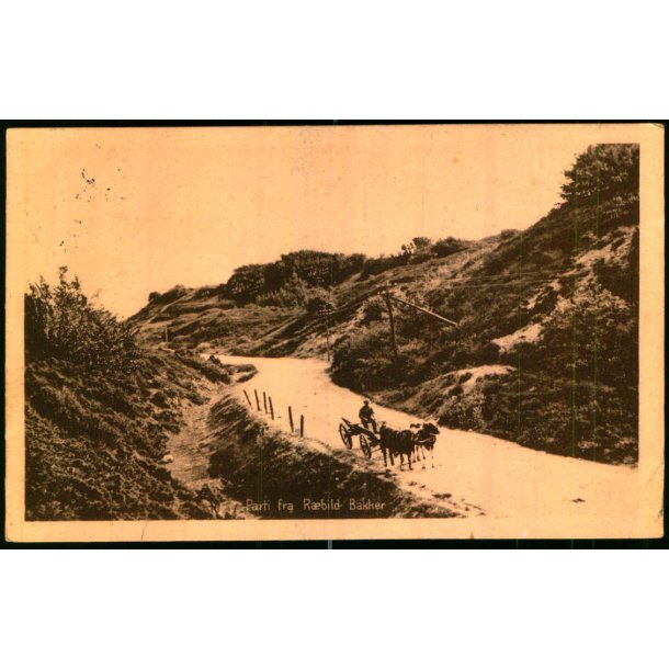 Parti fra Rebild Bakker - Stender 40558 - Brugt